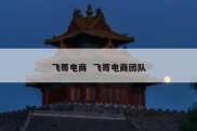 飞哥电商  飞哥电商团队