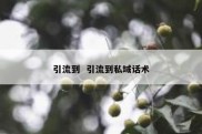 引流到  引流到私域话术