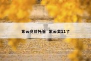 紫云竞价托管  紫云卖11了