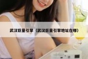 武汉巨量引擎（武汉巨量引擎地址在哪）