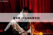 客引流（什么叫拓客引流）