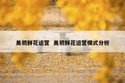 美初鲜花运营  美初鲜花运营模式分析