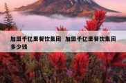 加盟千亿里餐饮集团  加盟千亿里餐饮集团多少钱