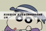 武汉巨量引擎  武汉巨量引擎网络技术有限公司