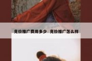 竞价推广费用多少  竞价推广怎么样