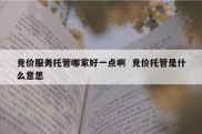竞价服务托管哪家好一点啊  竞价托管是什么意思