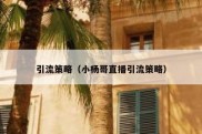 引流策略（小杨哥直播引流策略）