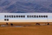 竞价托管业务有哪些  竞价托管业务有哪些项目