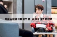 湖南百度竞价托管外包  百度竞价外包收费
