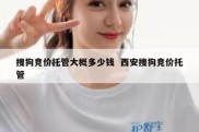 搜狗竞价托管大概多少钱  西安搜狗竞价托管