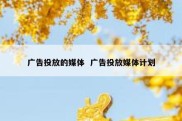广告投放的媒体  广告投放媒体计划