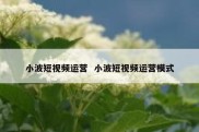 小波短视频运营  小波短视频运营模式