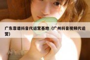 广东靠谱抖音代运营基地（广州抖音视频代运营）