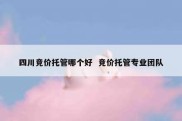 四川竞价托管哪个好  竞价托管专业团队