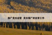 推广竞价运营  竞价推广的日常工作