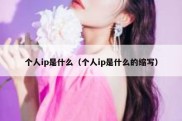 个人ip是什么（个人ip是什么的缩写）
