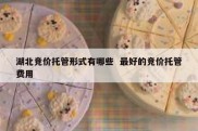 湖北竞价托管形式有哪些  最好的竞价托管费用