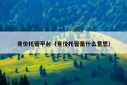 竞价托管平台（竞价托管是什么意思）