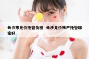 长沙市竞价托管价格  长沙竞价账户托管哪家好