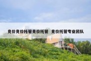 竞价竞价托管竞价托管  竞价托管专业团队