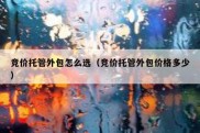 竞价托管外包怎么选（竞价托管外包价格多少）
