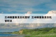 兰州哪里做竞价托管好  兰州哪里做竞价托管好点