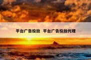 平台广告投放  平台广告投放代理