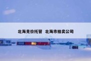 北海竞价托管  北海市拍卖公司