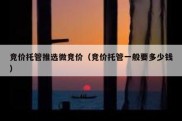 竞价托管推选微竞价（竞价托管一般要多少钱）