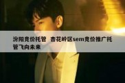 汾阳竞价托管  杏花岭区sem竞价推广托管飞向未来