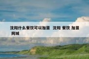 沈阳什么餐饮可以加盟  沈阳 餐饮 加盟 同城