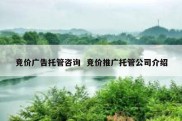 竞价广告托管咨询  竞价推广托管公司介绍