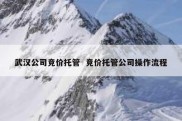 武汉公司竞价托管  竞价托管公司操作流程