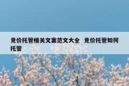 竞价托管相关文案范文大全  竞价托管如何托管