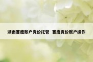 湖南百度账户竞价托管  百度竞价账户操作
