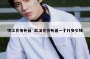 枝江竞价托管  武汉竞价托管一个月多少钱