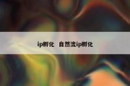 ip孵化  自然流ip孵化