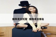 搜狗竞价托管  搜狗竞价排名