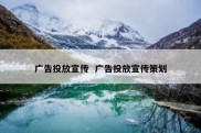 广告投放宣传  广告投放宣传策划