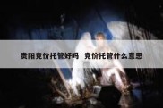 贵阳竞价托管好吗  竞价托管什么意思
