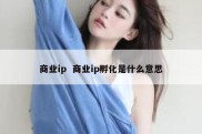 商业ip  商业ip孵化是什么意思