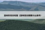 深圳市竞价托管（深圳竞价需要什么条件）