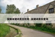 安国关键词竞价托管  关键词竞价查询
