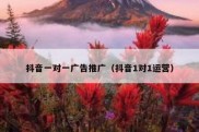 抖音一对一广告推广（抖音1对1运营）