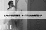 北海百度竞价托管  云浮百度竞价托管团队