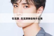 引流到  引流到微信有什么用