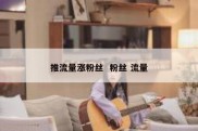 推流量涨粉丝  粉丝 流量