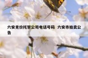 六安竞价托管公司电话号码  六安市拍卖公告