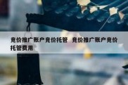 竞价推广账户竞价托管  竞价推广账户竞价托管费用
