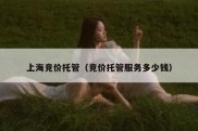 上海竞价托管（竞价托管服务多少钱）